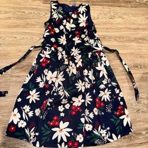 Girls Sateen dress. Size 14. Carter's. Excellent condition. Button back.